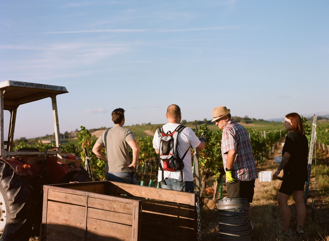 Wine — photography by Max Gruber